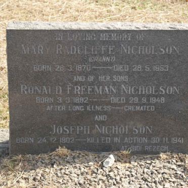 NICHOLSON :: NICHOLSON :: NICHOLSON