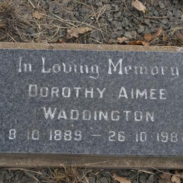 WADDINGTON Dorothy Aimee 1889-1987
