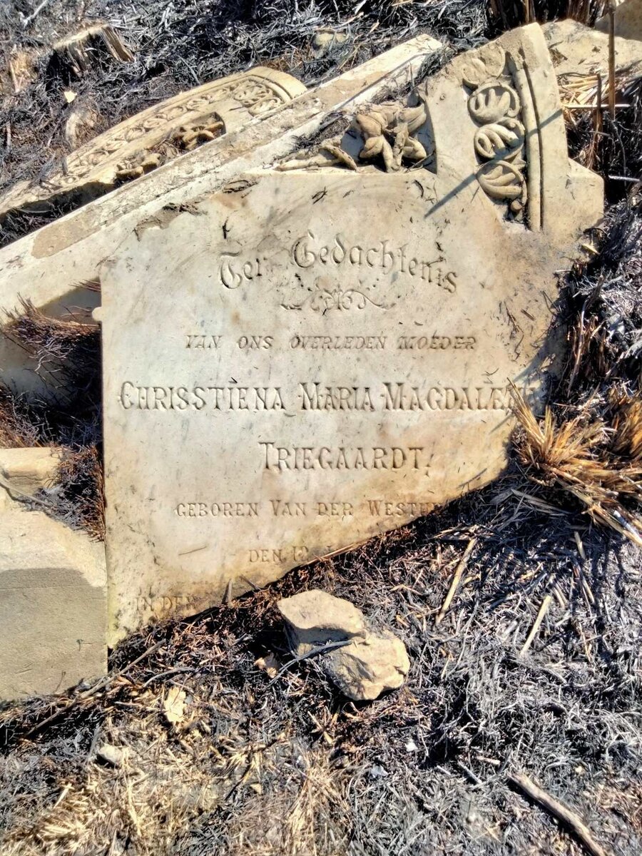 TRIEGAARDT Chrisstiena Maria Magdalena nee VAN DER WESTHUIZEN