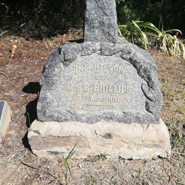 WALKER Daphne Elizabeth 1931-1995 :: WALKER Martin David 1953-2004 :: PHILLIPS -1936 