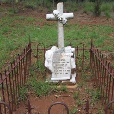 Kwazulu-Natal, MOUNT CURRIE district, East Griqualand, Swartberg, Slangfontein 44, Success Farm, single grave