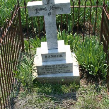 SALTER M.A. 1843-1910