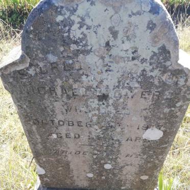 POWERS Michael -1917