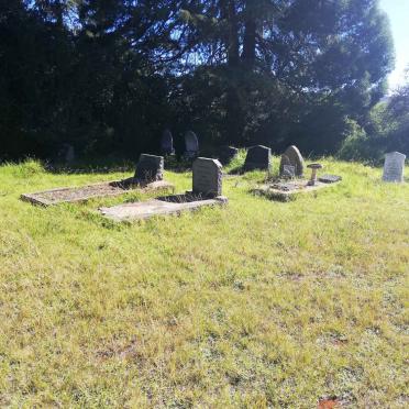 5. Overview / Oorsig