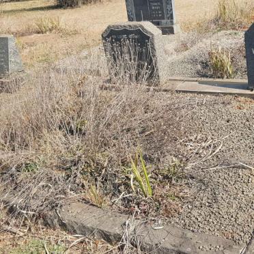 MAYNE Wilfred Arthur -1961 &amp; Violet Victoria SAULEZ 1897-1982