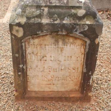 FINTEL Otto W.H., von 1881-1894