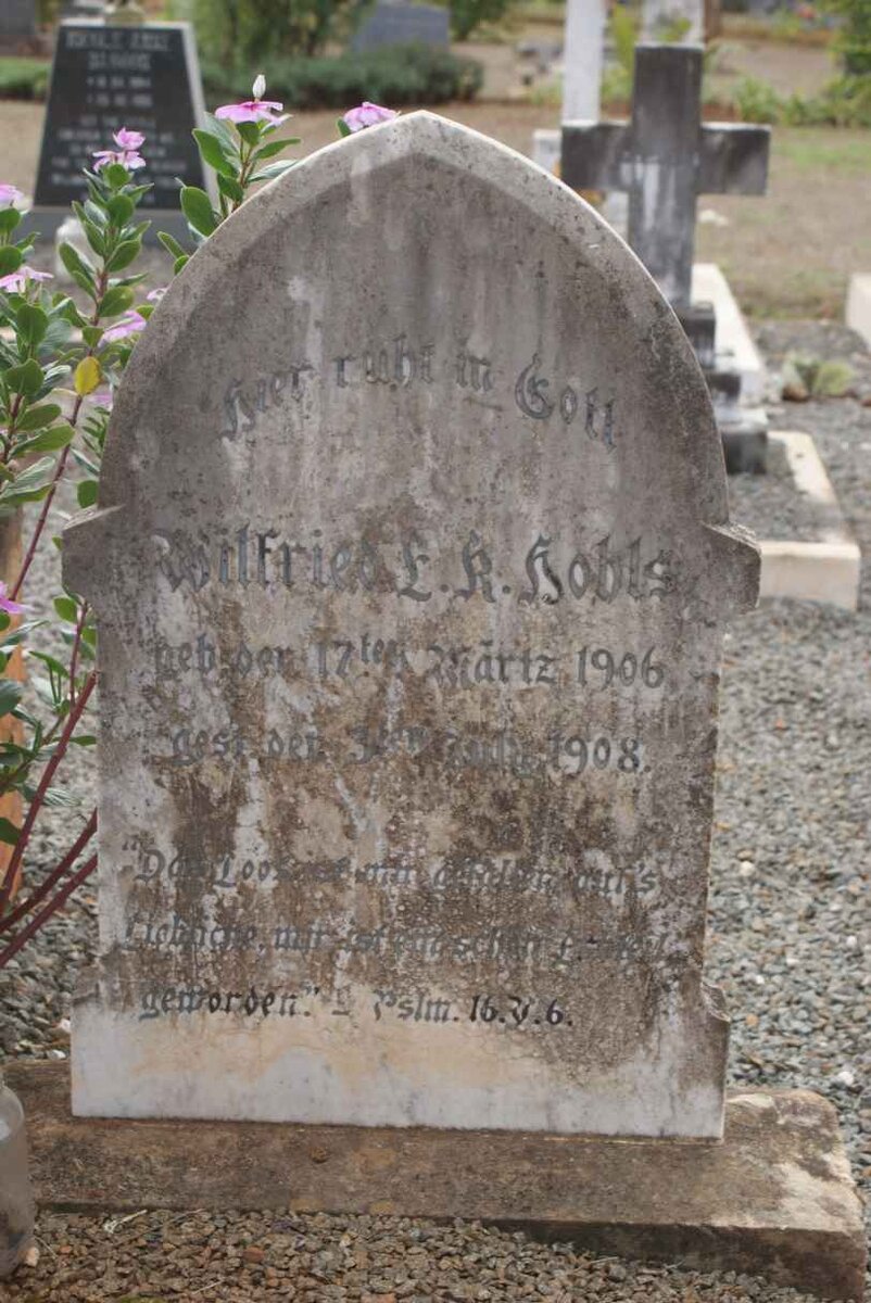 HOHLS Wilfried E.K. 1906-1908