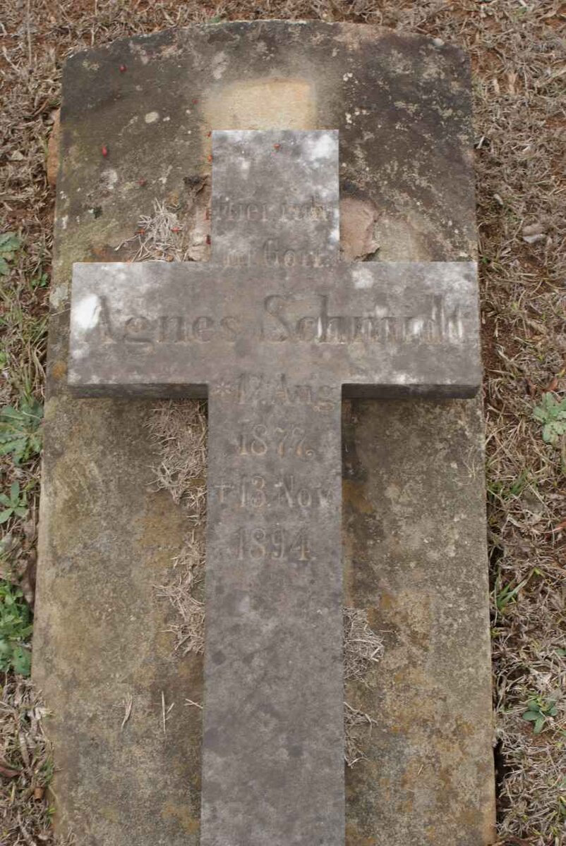 SCHMIDT Agnes M.M. 1877-1891