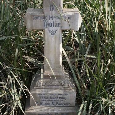 LUXFORD Mollie 1882-1908