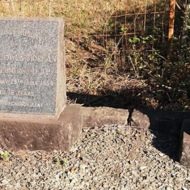 SOLOMON Owen Morgan  -1954 &amp; Avice Elsie nee OTTO 1882-1956