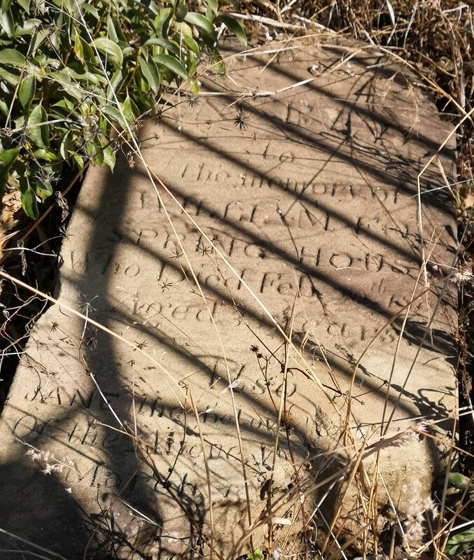 FOX William &amp; Jane