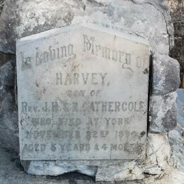 GATHERCOLE Harvey -1890