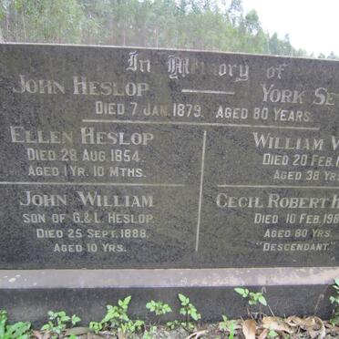 HESLOP John -1879 :: HESLOP Ellen -1854 :: HESLOP John William -1888 :: HESLOP Cecil Robert -1989 :: WOOD William -1874