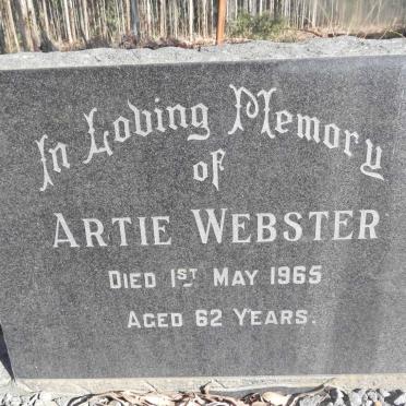 WEBSTER Artie -1965