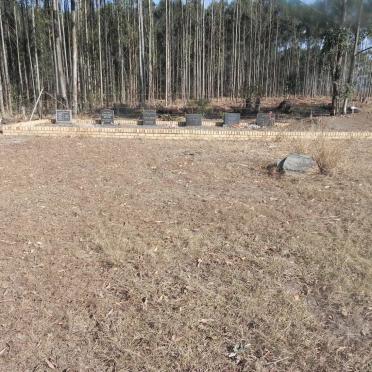 1. Overview of WEBSTER graves