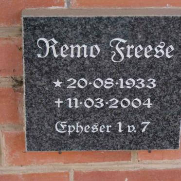 FREESE Remo 1933-2004