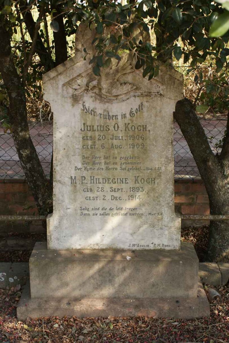 KOCH Julius O. 1906-1909 :: KOCH M.P. Hildegine 1893-1914