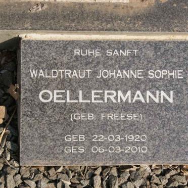 OLLERMANN :: FREESE :: CALITZ