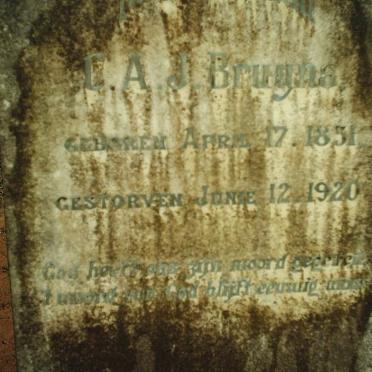 BRUYNS Cornelius Andries Johannes 1851-1920