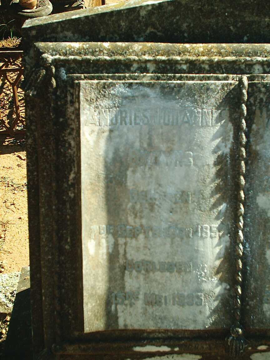 BRUYNS Andries Johannes 1859-1935