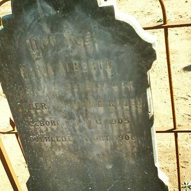 KOMEN Maria Alberta 1905-1908