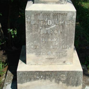 ALISON Wilfred James -1924