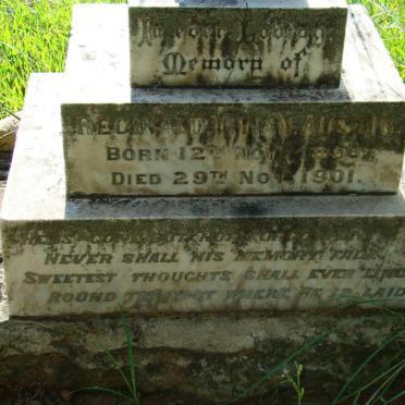 AUSTIN Reginald Vivian 18??-1901