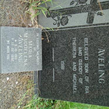 AVELING Roy -1981 :: AVELING Maria Magdelena 1913-1992