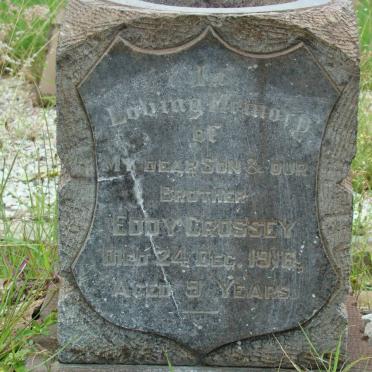 CROSSEY  Eddy -1916