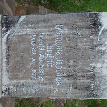 CROUS Francois Jacobus 1857-1933