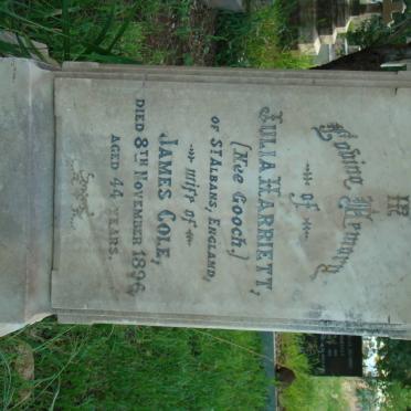 COLE Julia Harriett nee GOOCH -1896