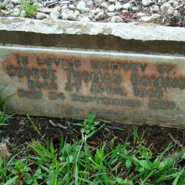 COMINS George Thomas 1866-1950