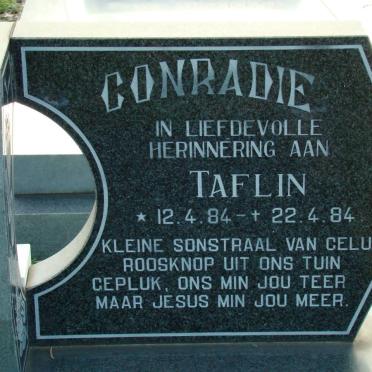 CONRADIE Taflin 1984-1984