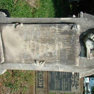 DEGENAAR Anna Johanna nee UYS 1880-1924