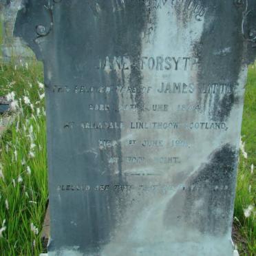 FORSYTH Jane 1844-1901