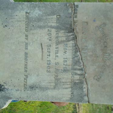 MacRAE David 1876-1903