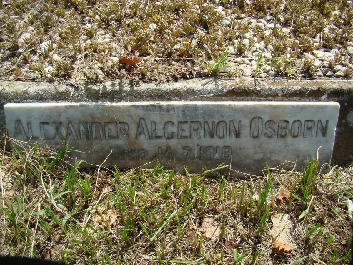 OSBORN Alexander Algernon -1918