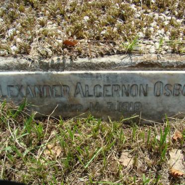OSBORN Alexander Algernon -1918