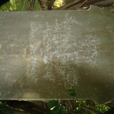 REYNOLDS Augusta -1915