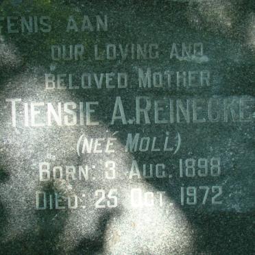 REINECKE Tiensie A. nee MOLL 1898-1972