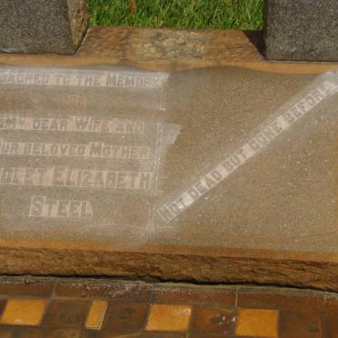 STEEL Violet Elizabeth