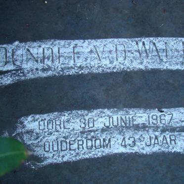 WALT Dundee, van der -1967