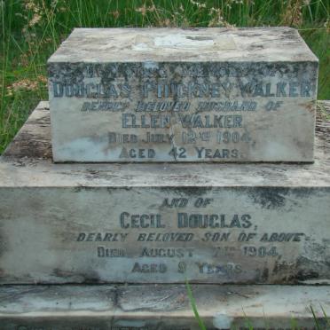 WALKER Douglas Pinckney -1904 :: WALKER Cecil Douglas -1904