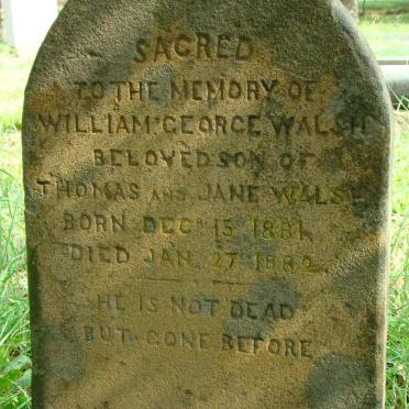 WALSH William George 1881-1882