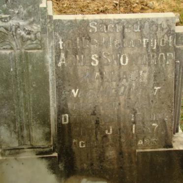 WALLACE Agnes Snowdrop nee McDIVETT -1937 :: WALLACE Baby -1937