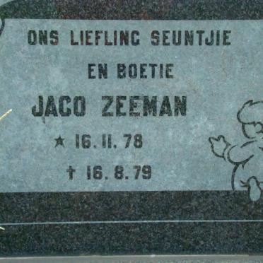 ZEEMAN Jaco 1978-1979