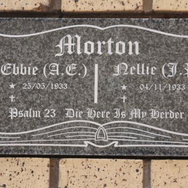 MORTON A.E. 1933- &amp; J.D. 1933-