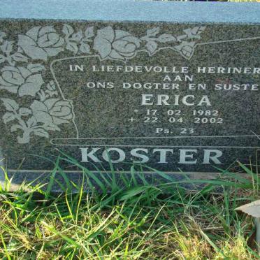 KOSTER Erica 1982-2002