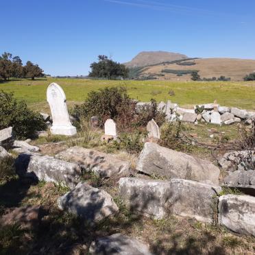 2. Overview / Oorsig