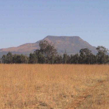 2. Mount Prospect Majuba